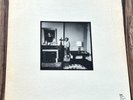 TOWNES VAN ZANDT - THE LATE GREAT TOWNES VAN ZANDT LP. POPPY PP-LA004-F.
