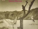 LP Tonton Macoute UK ORIG ON NEON BOTTICELLI LABELS NEAR MINT Neon (RCA)