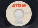 Modulation Corporation What To Do /Worms7