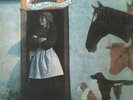 BUNYAN, Vashti - Just Another Diamond Day (reissue) - Vinyl (LP)