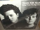 TEARS FOR FEARS songs from the big chair / shout / everybody wants rule  ( rock