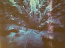 Hum (2) - Downward Is Heavenward 2 x Vinyl, LP, Reissue, Remastered
