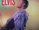 Elvis Presley rare vinyle LP - LPM1382   430.231 made in France 01-1966