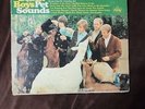 The Beach Boys - Pet Sounds Vinyl LP Album Original Capitol Records Mono