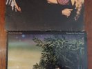 Fleetwood Mac Tango in the Night Mirage Vinyl