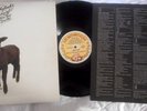SKYHOOKS Straight In A Gay Gay World LP *** FREE POSTAGE