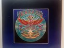 Nuggets: Original Artyfacts From The First Psychedelic Era 1965-1968  Vinyl LP40