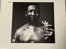 Muddy Waters After The Rain Vinyl LP - Chess CRLS4553 - 1969