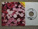 RARE PRIVATE EXPERIMENTAL GOTH 45 Section Vingt Cinq Je Veux Ton Amour FACBN5