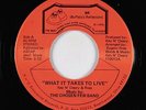 Modern Soul 45 - Chosen Few Band - What It Takes To Live - BR - VG++