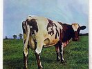 PINK FLOYD ATOM HEART MOTHER EMI EMS80320 JAPAN VINYL LP