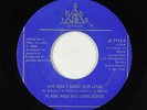 Northern Soul 45 - Flame & the Lovelights - The Way I Want Our Love - Jaber VG+