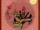 Lee Amos - Honeysuckle Switches-The Songs Of Lucinda Williams Bla (EU - Reissue)