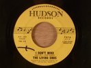 The Living Ends  I Don't Mind/Self-Centered Girl  RARE   Garage 1965 Hudson