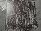 SUNN O))): black one SOUTHERN LORD 12