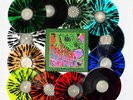 King Gizzard - Live at Red Rocks 12LP Box Set (Levitation Exclusive) *UNOPENED*