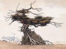 Shadow Gallery Tales From Yesterday - A Tribute To Yes (Vinyl)