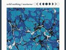 Wild Nothing Nocturne (Vinyl)