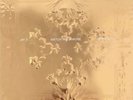 Jay Z Kanye West - Watch the Throne Vinyl (Picture Disc) *Sealed* New