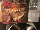 Amen Corner Fall, Ascension, Domination LP 93 Cogumelo SIGNED Brazil Black Metal