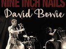 Nine Inch Nails & David Bowie - BACK IN ANGER LIVE IN '95 VOL. 2 - Vinyl 2LP