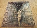 KAT – 38 Minuts Of Life VINYL