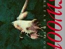 Prefab Sprout Swoon (Vinyl) 12