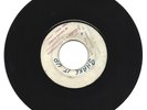 PIONEERS / SHAKE IT UP / GOODIES ARE THE GREATEST / 7''