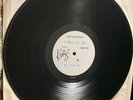 FALLEN ANGELS LP White Label  . Signed by Knox . Vibrators Hanoi Rocks