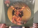 Cher Take Me Home LP Record Picture Disc Sealed Brand New