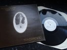 ROSEMARIE TAYLOR - RARE IRISH 1st PRESS FOLK LP - TAYLORMAID - I.D. Records-1977