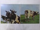 Pink Floyd Atom Heart Mother Harvest EMS-80320 Japan  VINYL LP