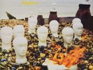 Cressida Asylum (Vinyl) 12