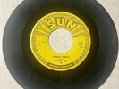 Dickey Lee 1958 DOO WOP TEEN ROCKABILLY 45 Dreamy Nights/Fool Fool... SUN M-HEAR