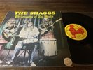 THE SHAGGS  Philosophy of the World  LP Vintage Vinyl 1980 Red Rooster 103 EX/NM