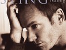 Sting Mercury Falling (Vinyl LP) 12