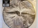 Paramore Brick by Boring Brick 7” Vinyl 45 Picture Disc SUPER RARE Hot Topic Exc
