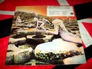 LED ZEPPELIN HOUSES OF THE HOLY LP ORIG 1973 PRESSING SD 7255 CLUB 95038 I II EX