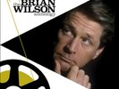 Brian Wilson Playback: The Brian Wilson Anthology (Vinyl) 12
