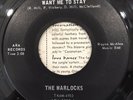 The Warlocks If You Really Want Me To Stay ARA 1917 45 Dusty Hill ZZ Top Garage