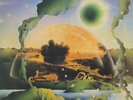 Druid (3) - Toward The Sun (LP, Album) (Near Mint (NM or M-)) - 2871622762