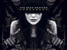 The Dead Weather Horehound (Vinyl) 12