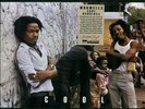VINYL Morwells - Cool Runnings