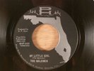 The Malemen My Little Girl/She Means The World To Me FL Garage 1966 Pine Hills