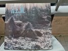 1983R.E.M. – Murmur 1° Stampa UK 	I.R.S. Records-SP 70604 LP e copertina EX+ EX+