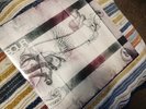 Stone Sour Audio Secrecy Vinyl
