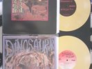 Dinosaur Jr 2x Yellow Marbled 10