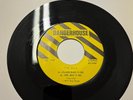 Dils 198 Seconds Of The Dils SLA268b SLA-268A Class War Mr. Big 1977 Dangerhouse
