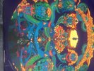 The Grateful Dead – Anthem Of The Sun LP  K46021 Warner Stereo Reissue **Rare**