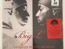 BIG L Devil's Son VINYL EP Showbiz LORD FINESSE Buck Wild D.I.T.C Hip Hop